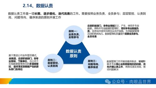 XX集團數(shù)據(jù)治理體系建設方案——數(shù)據(jù)處理服務篇